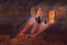 Early morning view of hoodoo formations Bryce Canyon National Park, Utah Art Print
